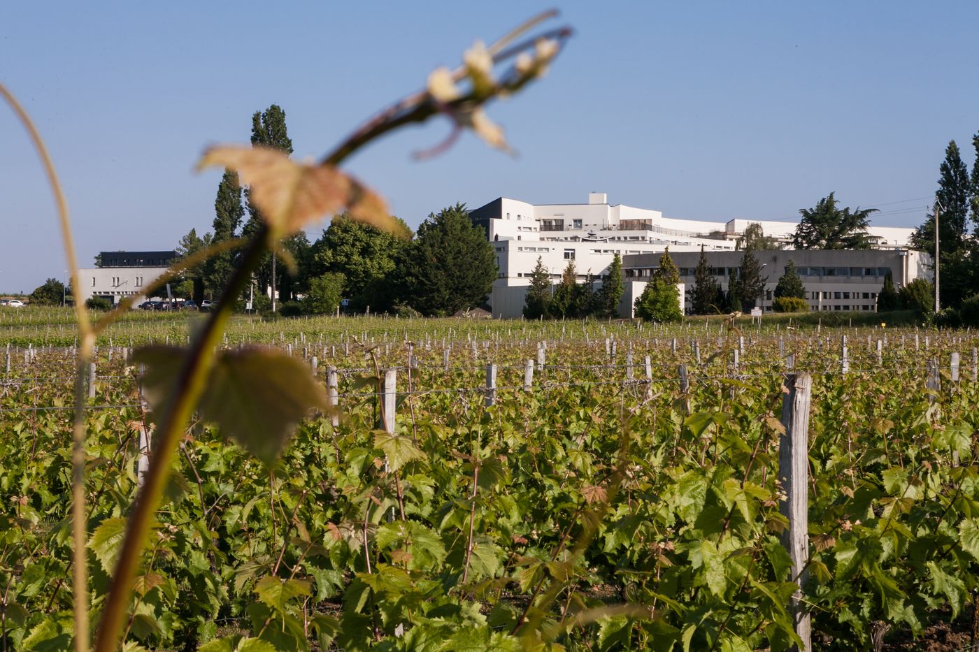 CFPPA Edgard Pisani - Montreuil-Bellay